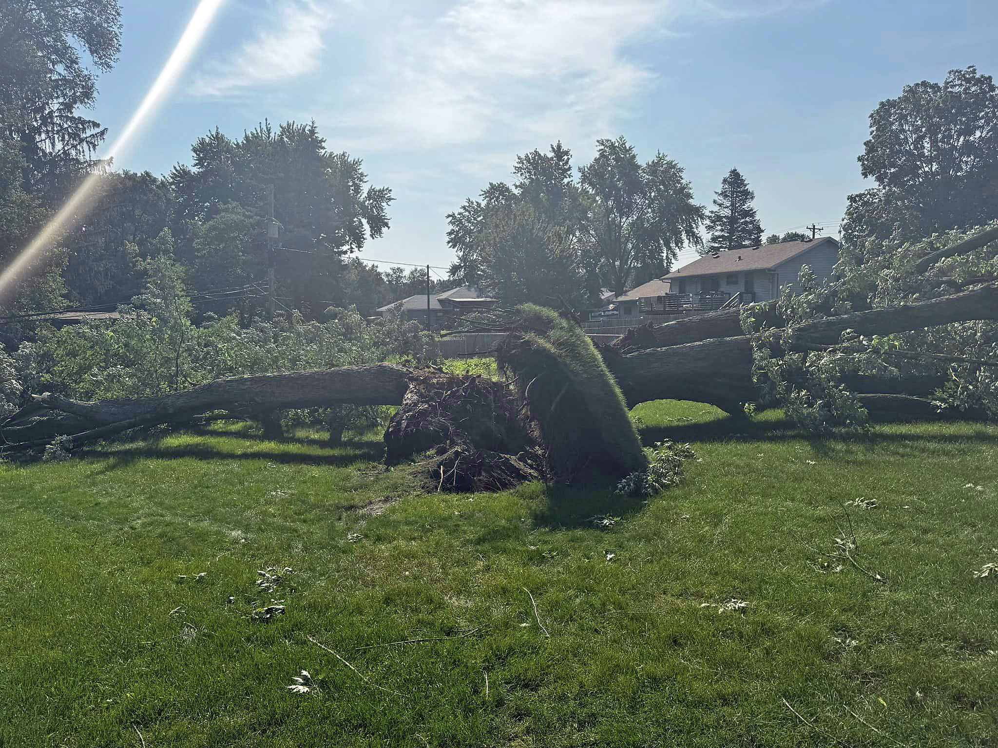 Summer storm damage