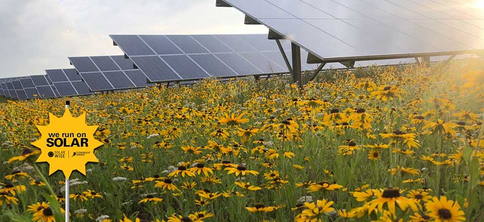 SolarWise Community Solar Garden